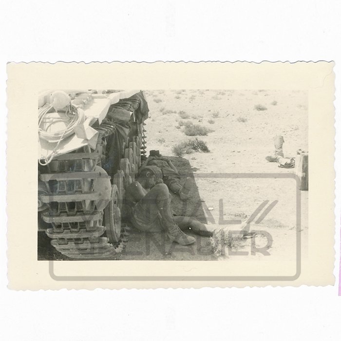GAR20 Marvelous large set of original photos of the Heer 5. Leichte-Division/21. Panzer-Division in North Africa — image 12