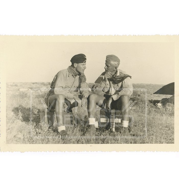 GAR20 Marvelous large set of original photos of the Heer 5. Leichte-Division/21. Panzer-Division in North Africa — image 25