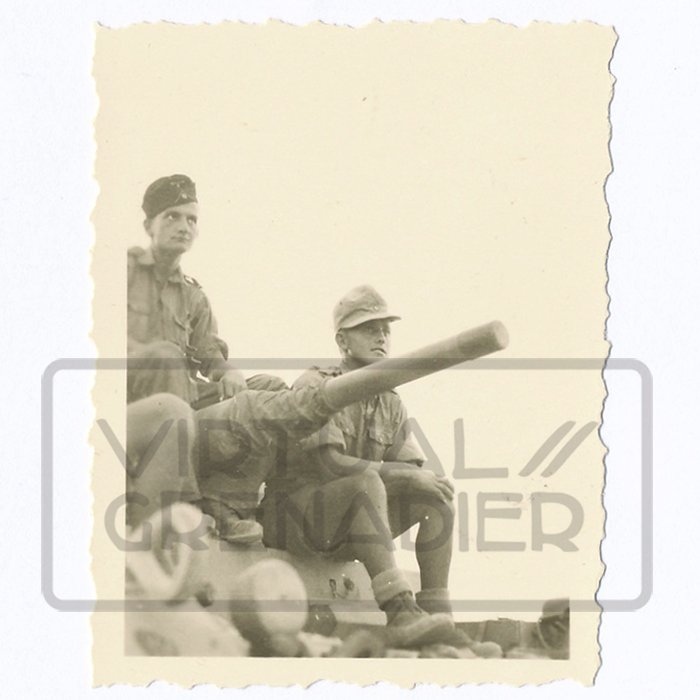 GAR20 Marvelous large set of original photos of the Heer 5. Leichte-Division/21. Panzer-Division in North Africa — image 8