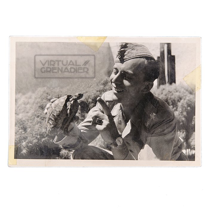 AHJ72 Set of eleven original photos depicting a Luftwaffe Kriegsberichter in North Africa — image 11