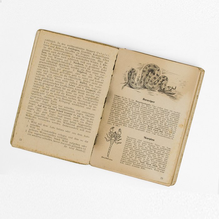 BSA46 1942 dated pocket calendar for Panzergruppe Afrika — image 6