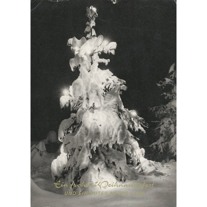 PDA2 Set of three cards sent postwar by Brillantenträger General der Panzertruppen Dietrich von Saucken — image 4