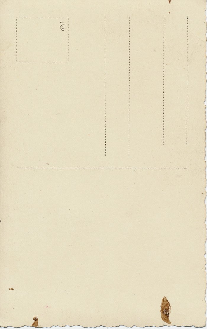 PPS02 Wedding portrait of Panzer Lehr Unteroffizier and bride — image 3