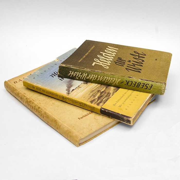 PTA10 Three period books related to the campaign in North Africa - Balkenkreuz uber Wüstensand, Mit Rommel in der Wüste, Helden der Wüste — image 11