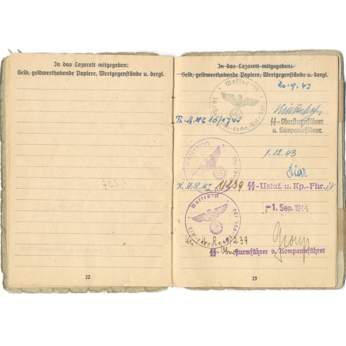 MGA1 Soldbuch for Volksdeutsch Waffen-SS Nachrichten Sturmann — image 9