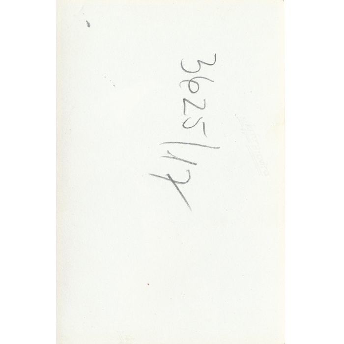 XMA28 Set of three photos of Heer and Kriegsmarine officers with nurses — image 5