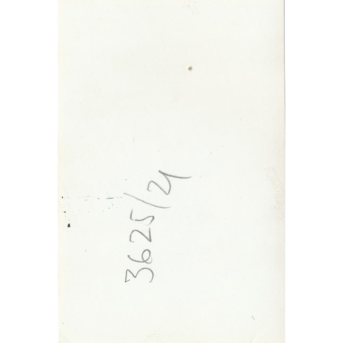 XMA28 Set of three photos of Heer and Kriegsmarine officers with nurses — image 7