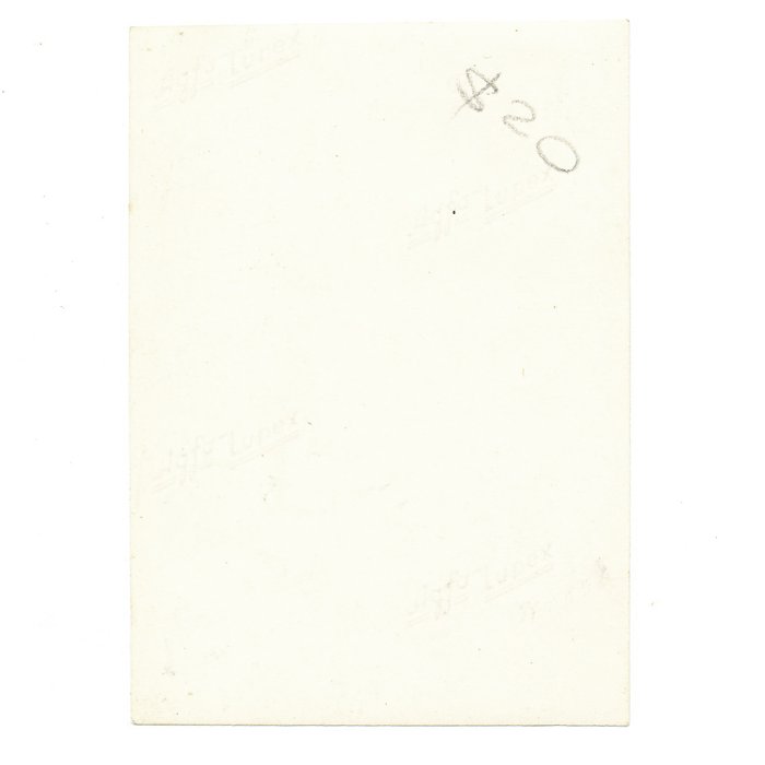 XMA17 Small private photo of a Heer NCO in a StuG. unit — image 3