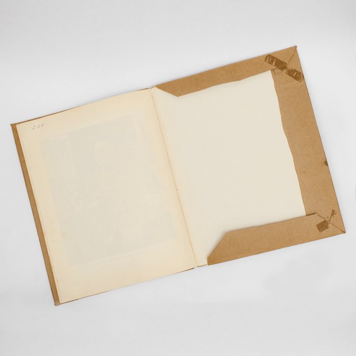 ODA3 Clean copy of the children's book Der Giftpilz as published by Julius Streicher — image 16