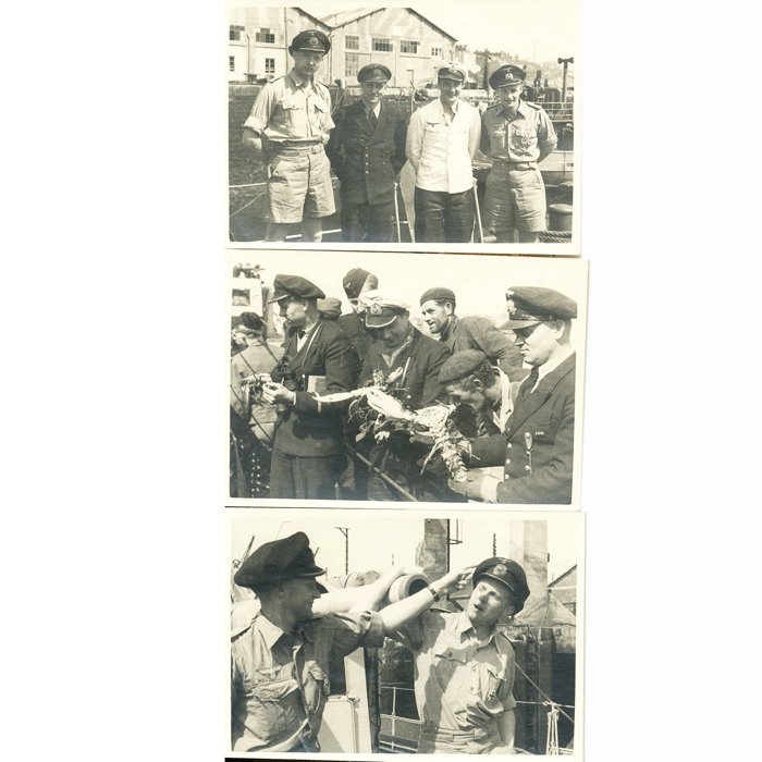 MNA1 American veteran lot to include rare German insignia obtained in North Africa — image 11