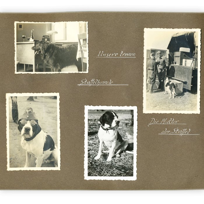 AMG2 Grouping to include award documents, Wehrpass and photo album for a Luftwaffe Schlachtflieger killed in action July '44 — image 16