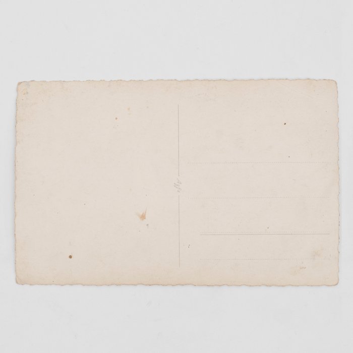 WAC31 Photo postcard of EM from 4. SS-Polizei-Division — image 3