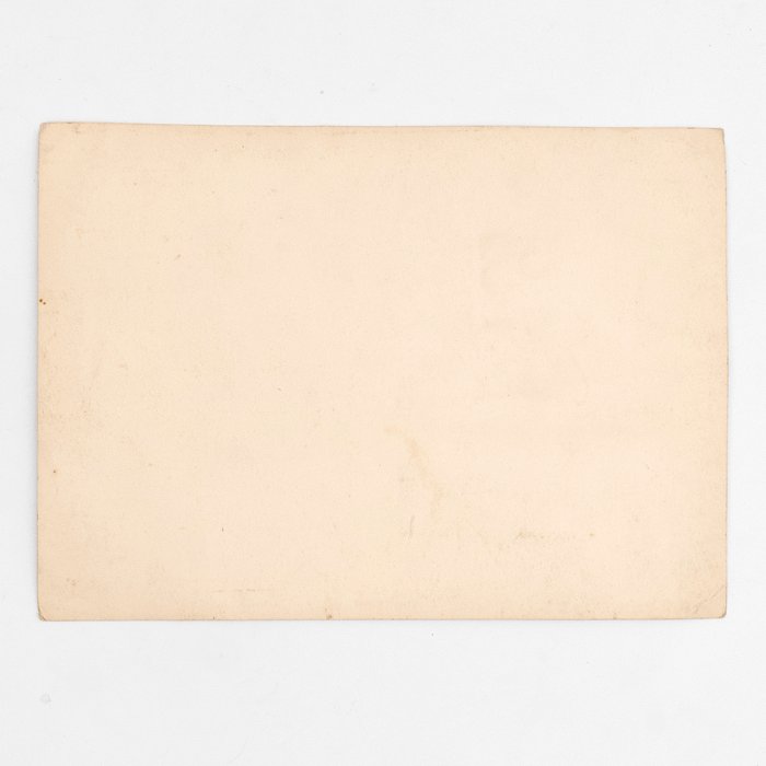 WAC26 Large photo of two brothers in Heer service — image 3