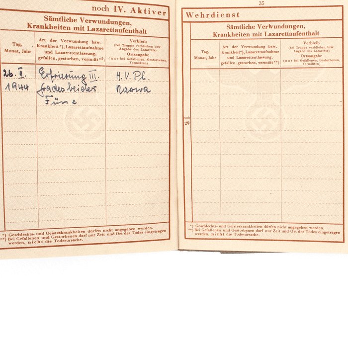 SJA57 Wehrpass with uniform photo for member of Waffen-SS Panzer Grenadier Regiment Norge — image 11