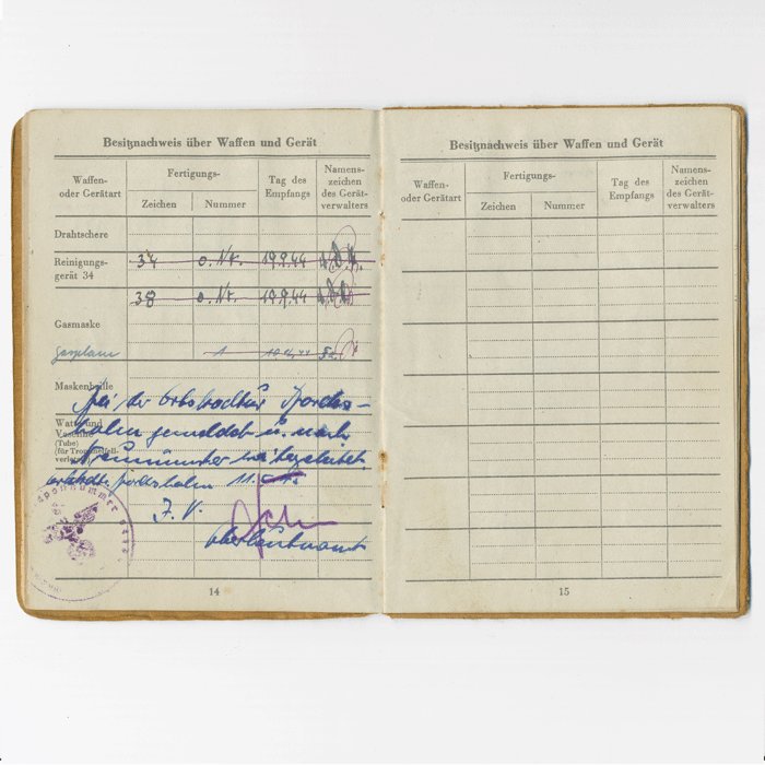 TAP13 Late war Waffen-SS Soldbuch for an SS-Pz.-Gren. that served with several units including 12/SS-Pz.Div. Hitlerjugend — image 9