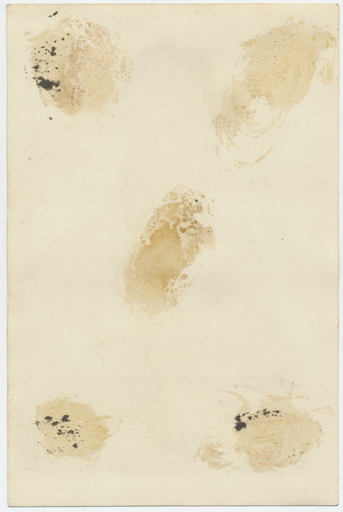 PPS016 Larger photo of Heer Gefreiter wearing black wrap with piped collar and black M43 cap with Edelweiss — image 3