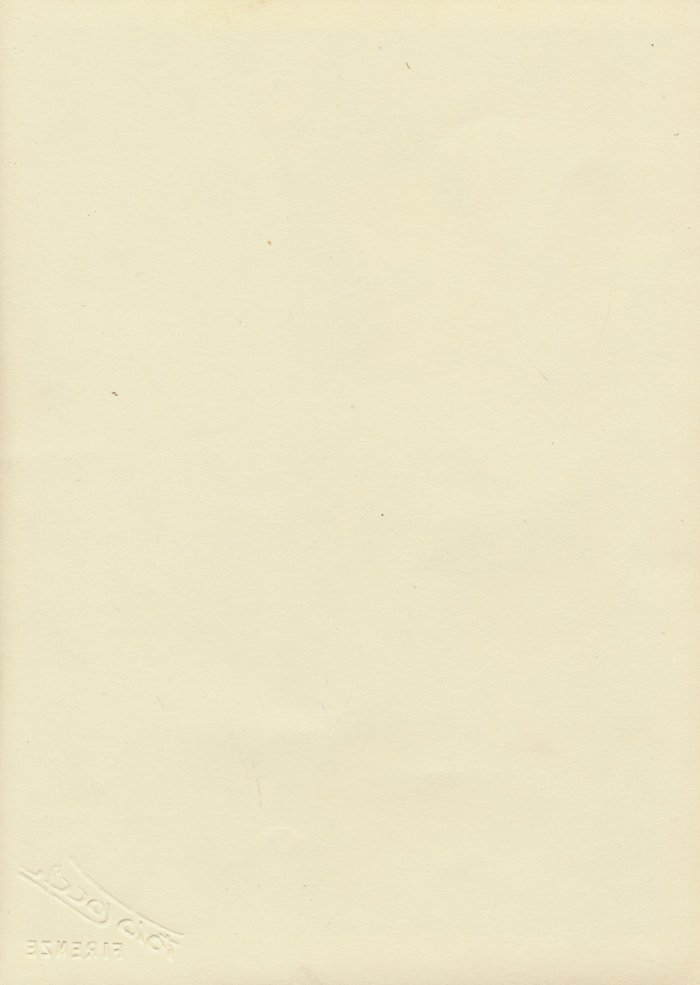 PPS06 Larger format photo of a Luftwaffe HG Oberleutnant wearing black wrap — image 3