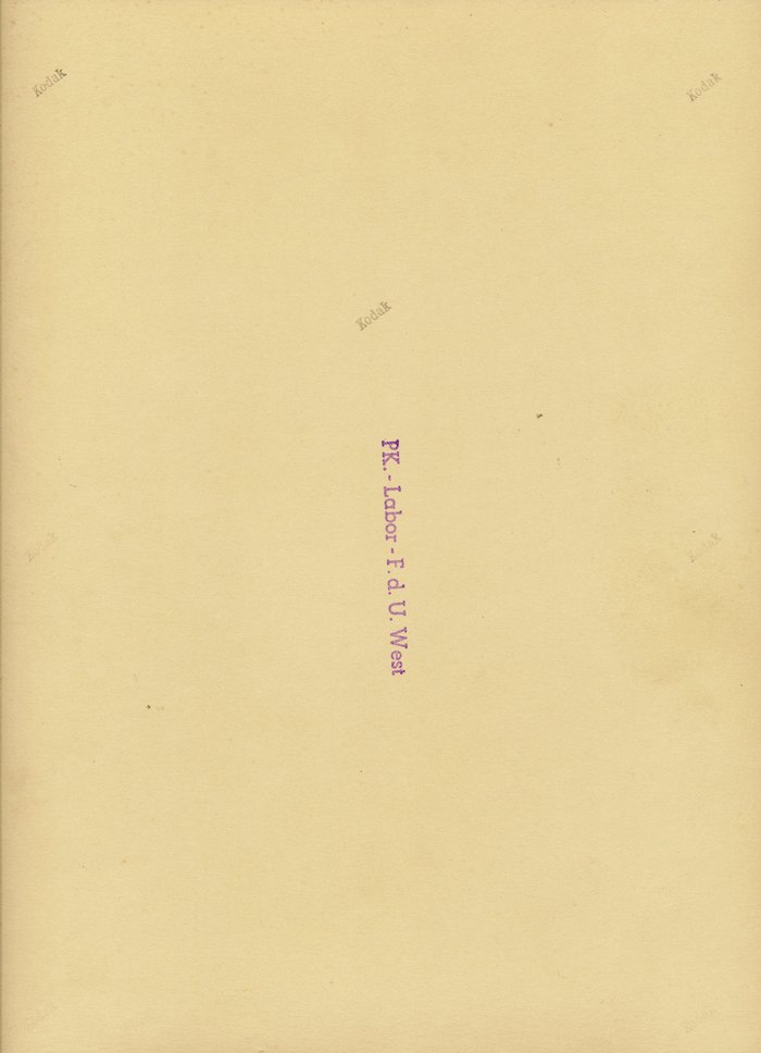 Large formal portrait of RKT Korvettenkapitän Rösing — image 3