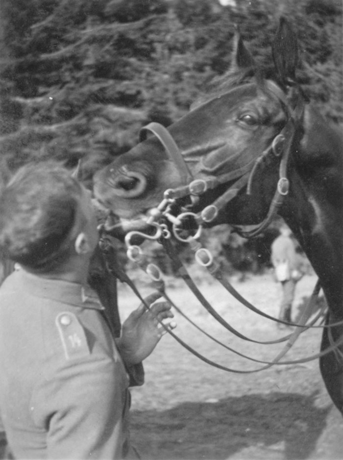 AN002 Interesting photo album depicting civilian, RAD and Heer themes — image 5