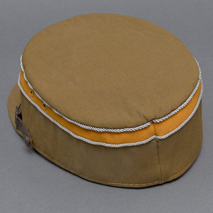 NSE3 Striking Sturmabteilung officer's kepi, Gruppe Südwest — image 15