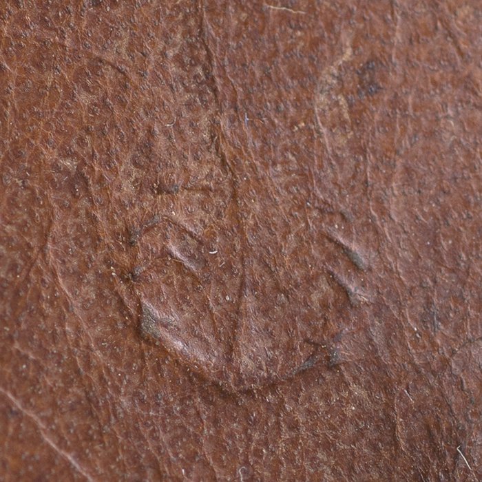 SPA104 Imperial Japanese Naval Landing Force's helmet with camouflage cover and netting — image 20