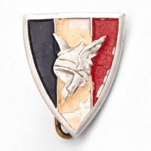 PAA31 French Vichy patriotic pin