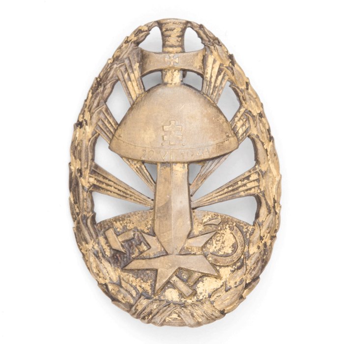 SPA55 Slovakian anti-communist badge — image 2