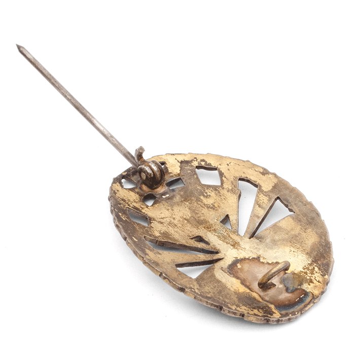 SPA55 Slovakian anti-communist badge — image 4