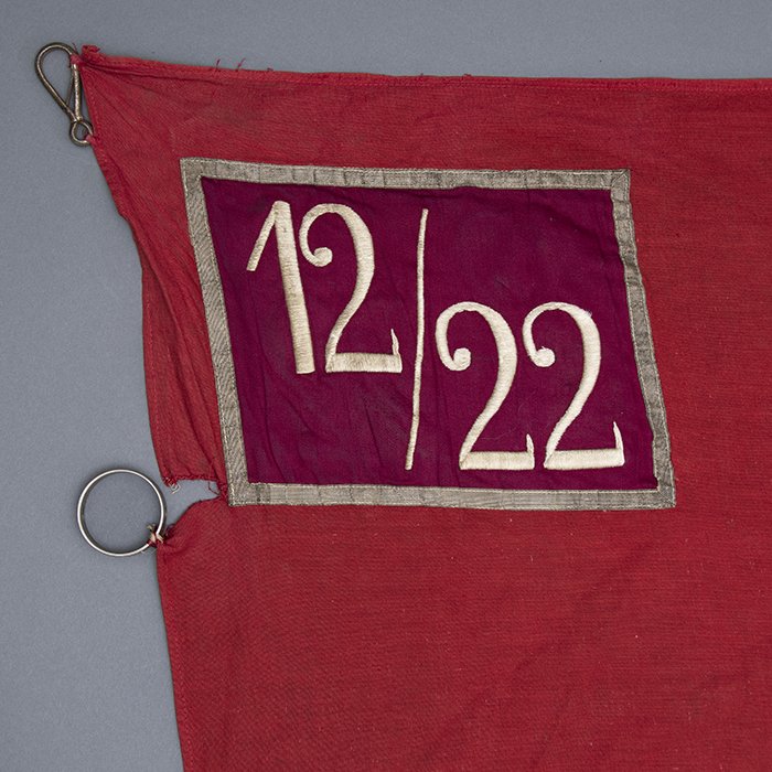 TIP4 Attractive Sturmabteilung Sturmfahne — image 3