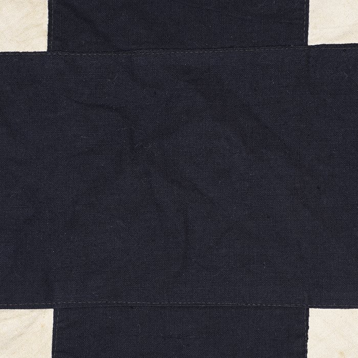 TIP4 Attractive Sturmabteilung Sturmfahne — image 9