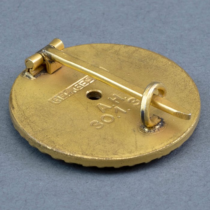 ADM74 Fine Adolf Hitler Presentation Golden Party Badge — image 8