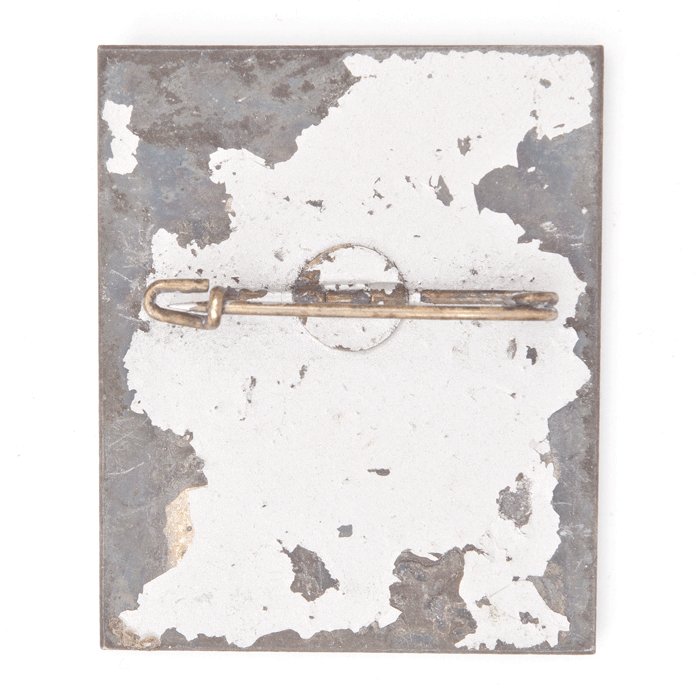 PAA81 Set of winter sports awards for political organizations — image 6