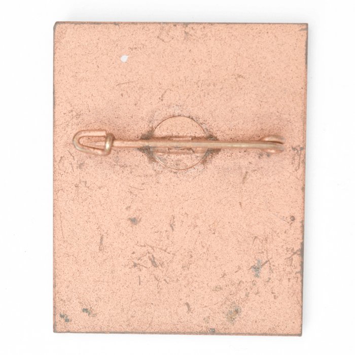 PAA81 Set of winter sports awards for political organizations — image 8