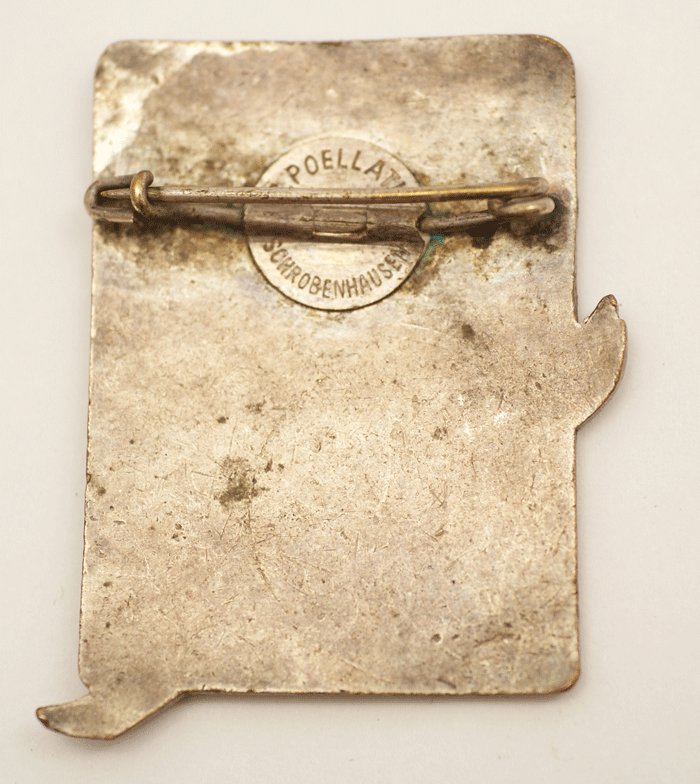 Enameled pin for ski competition between SA and SS — image 3