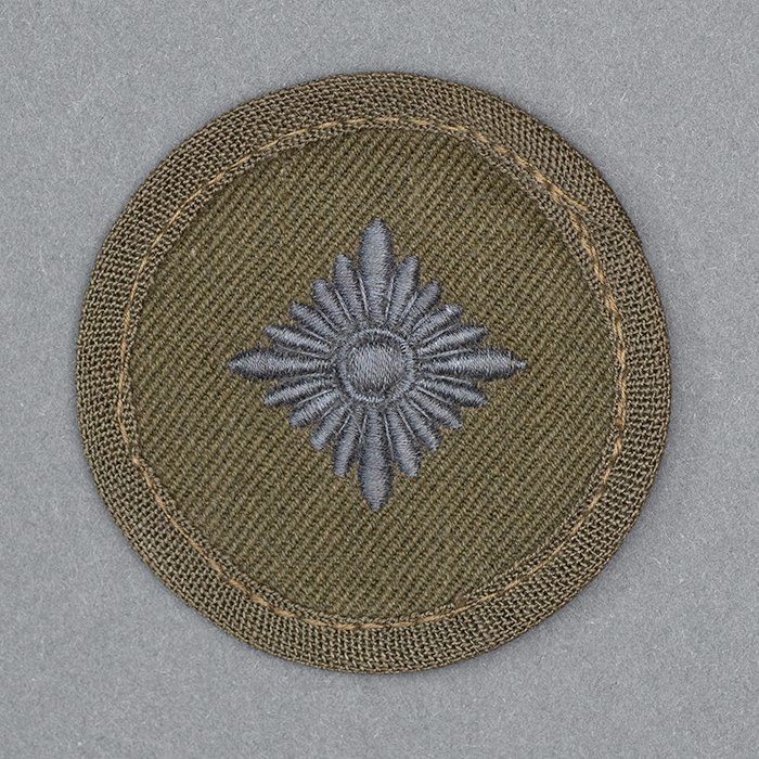 JDE39 Heer Oberschütze tropical rank pip — image 2