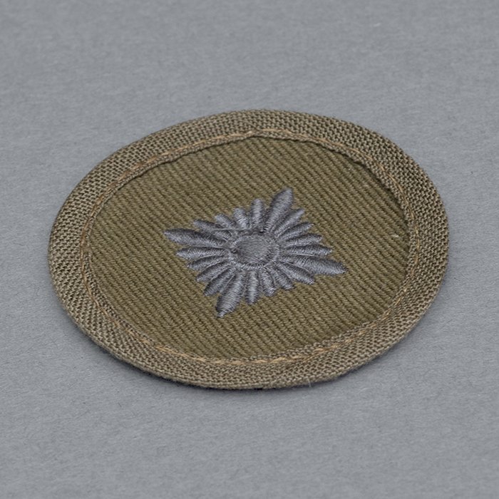 JDE39 Heer Oberschütze tropical rank pip — image 3