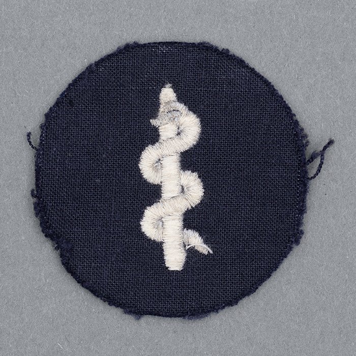 JDE1 Luftwaffe medical personnel specialty patch — image 4