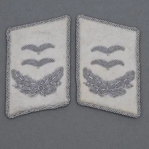 PR1 Matched pair of collar patches for a Luftwaffe Hermann …