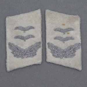 PR2 Pair of uniform removed collar patches for a Luftwaffe …
