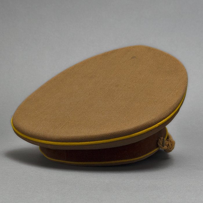 SP12 Service worn final pattern NSDAP Reichsleitung visored cap — image 22