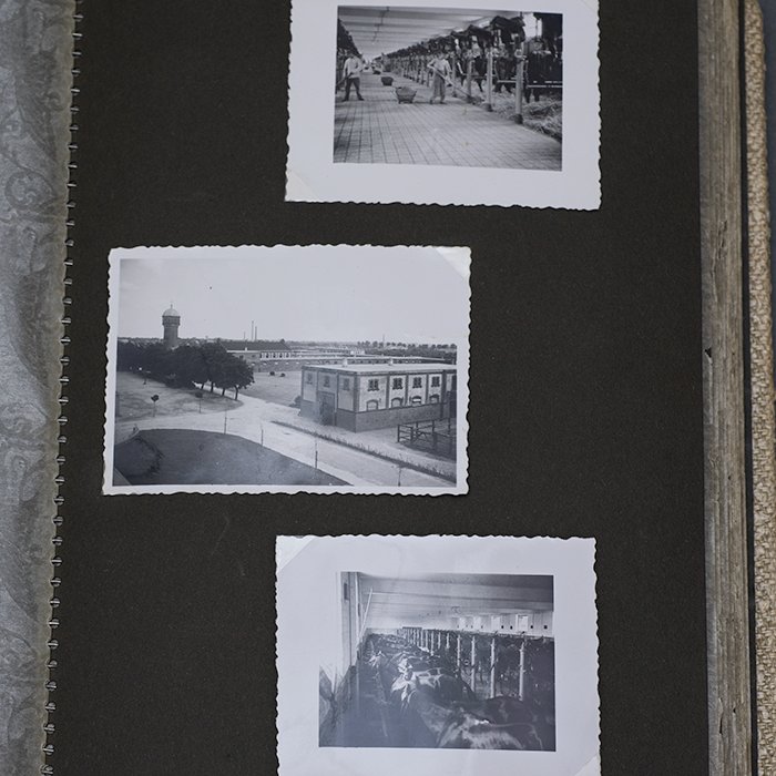 JS10 Early war photo album for a soldier in a Heer Kavallerie unit — image 24