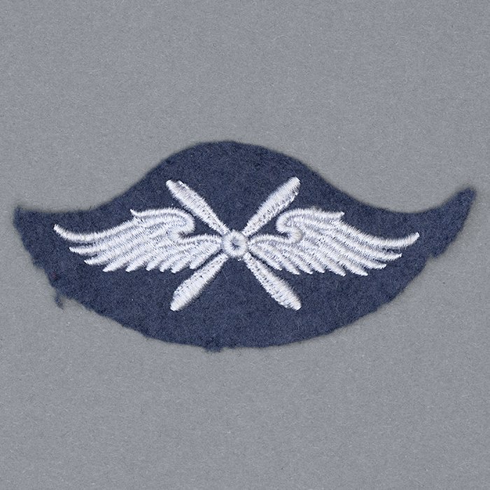 JDE3 Luftwaffe flying personnel proficiency badge — image 2