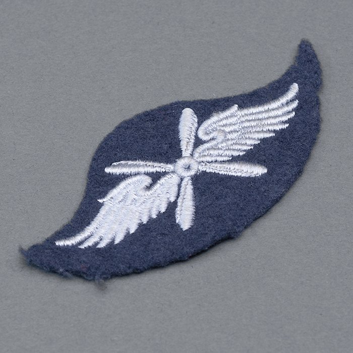 JDE3 Luftwaffe flying personnel proficiency badge — image 3