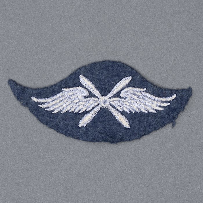 JDE3 Luftwaffe flying personnel proficiency badge — image 4