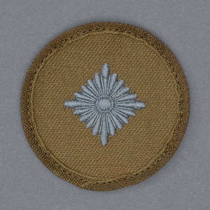 JDE40 Heer Oberschütze tropical rank pip — image 2