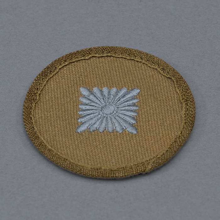 JDE40 Heer Oberschütze tropical rank pip — image 3