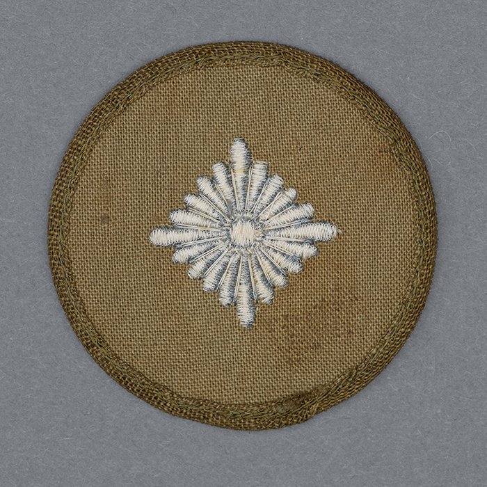 JDE40 Heer Oberschütze tropical rank pip — image 4