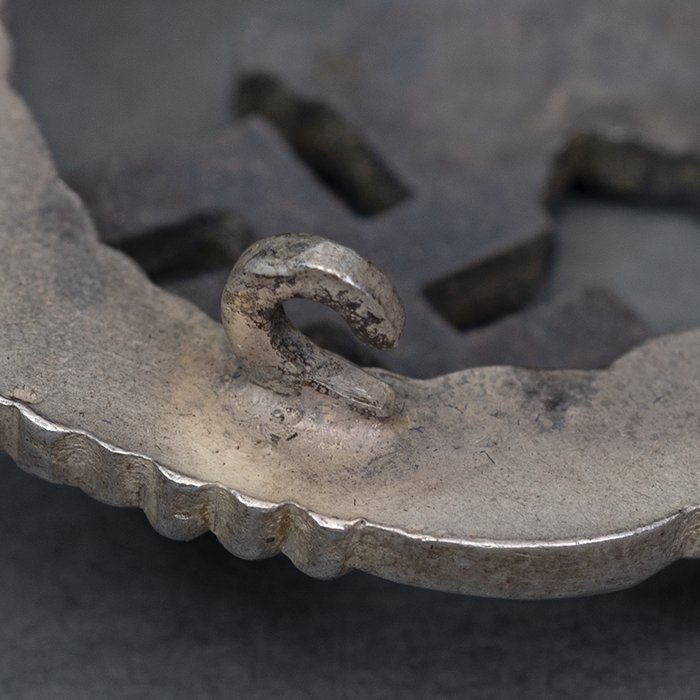 BX2 Cased GWL Luftwaffe Observer's Badge — image 11