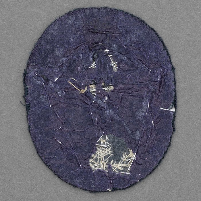 RD2 DLV Badge for Free Balloon Pilots — image 5