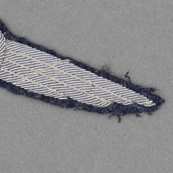 RD5 DLV Pilot's Badge — image 4